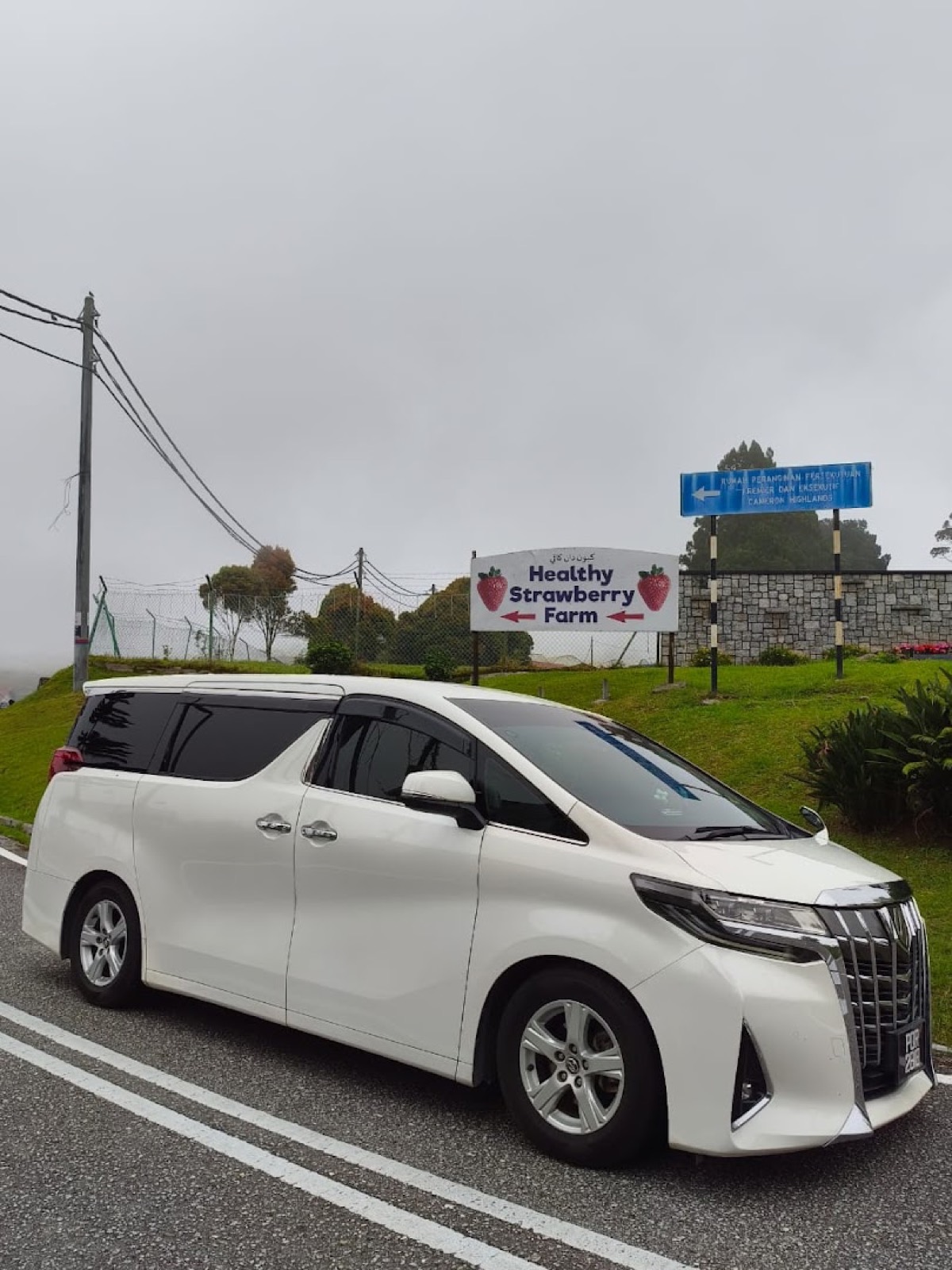 Luxury MPV on the road in Penang
